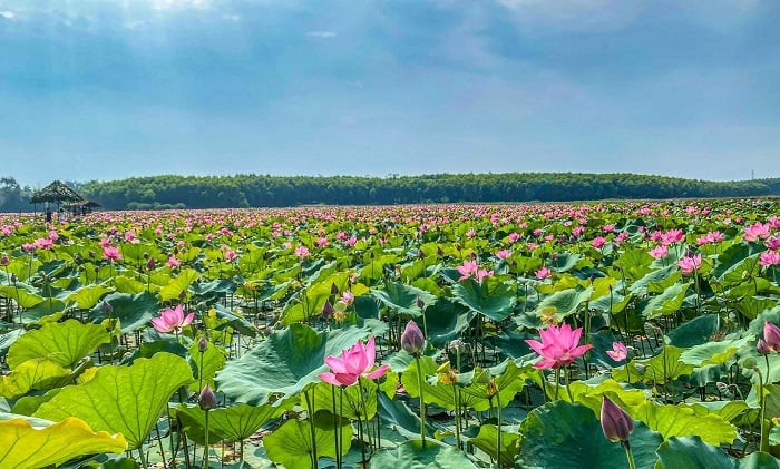 du lịch nghĩa đàn - Hình 1