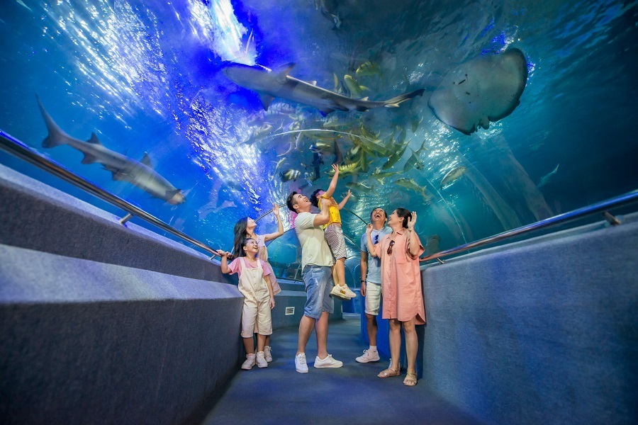 du lịch nha trang cho gia đình có trẻ nhỏ - Hình 3
