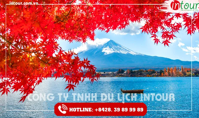 du lịch nhật bản tết nguyên đán 2026 - Hình 2