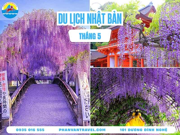 du lịch nhật bản tháng 5 - Hình 4