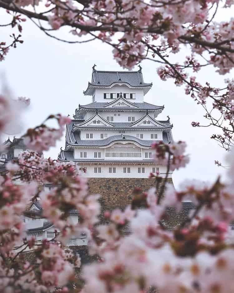 du lịch nhật bản tự túc 10 ngày - Hình 4
