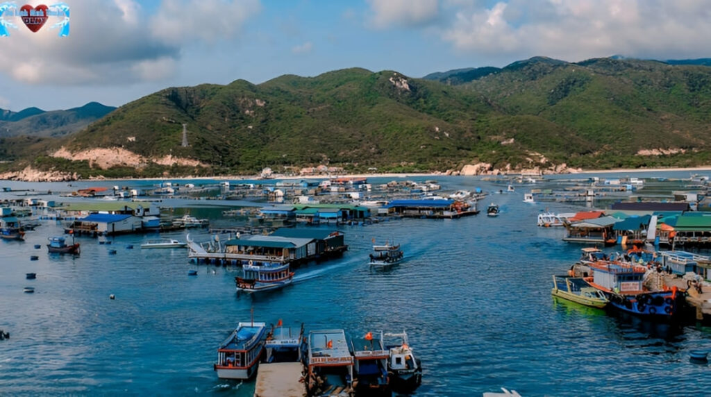 du lịch ninh thuận dịp tết - Hình 3