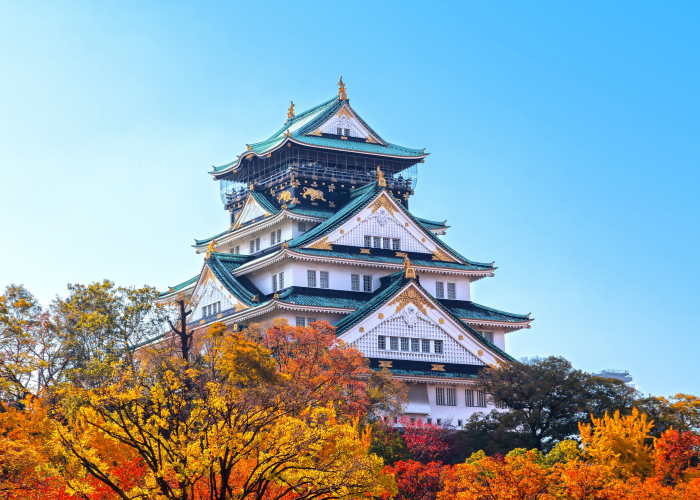 du lịch osaka tự túc - Hình 4