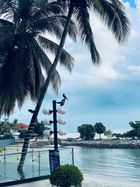 du lịch penang tự túc - Hình 3