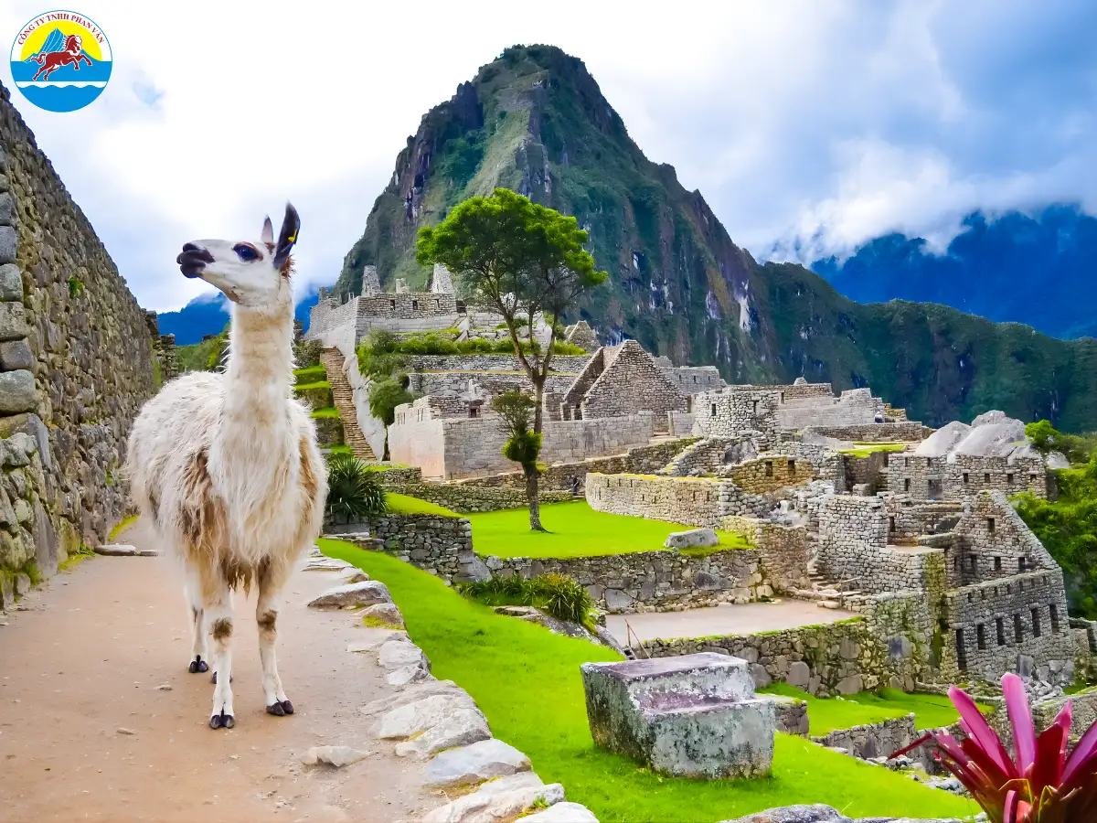 du lịch peru - Hình 5