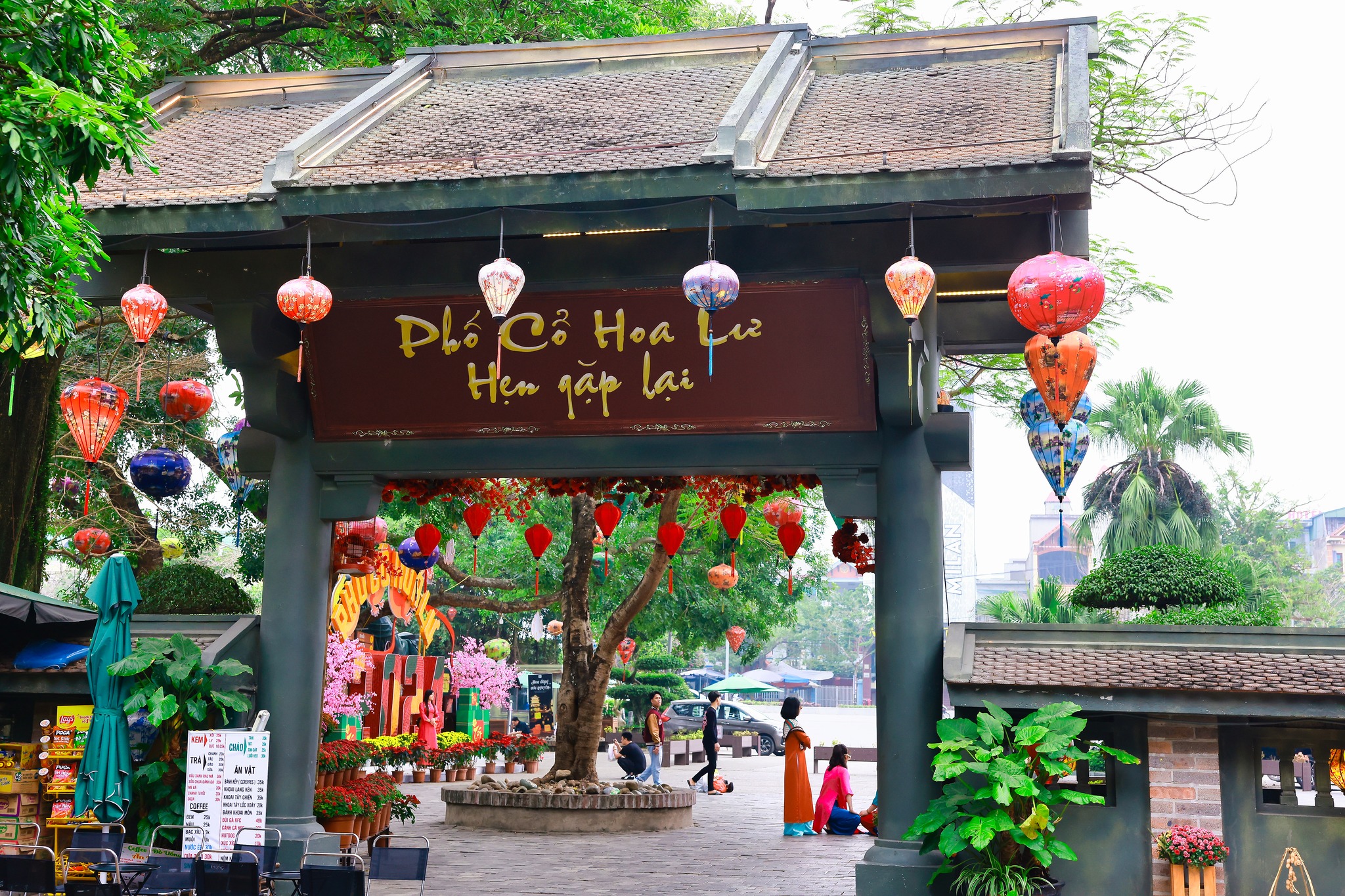 du lịch phố cổ hoa lư ninh bình - Hình 1