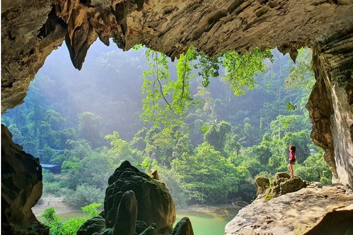 du lịch phong nha kẻ bàng 1 ngày - Hình 5