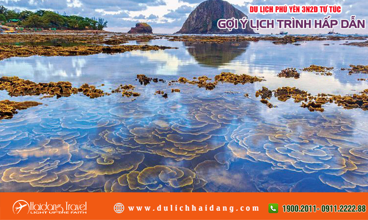 du lịch phú yên 3 ngày 2 đêm tự túc - Hình 3
