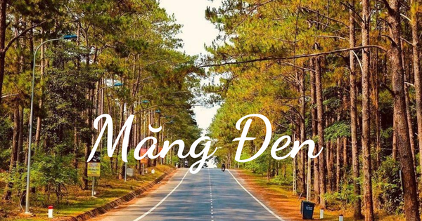 du lịch pleiku măng đen - Hình 2