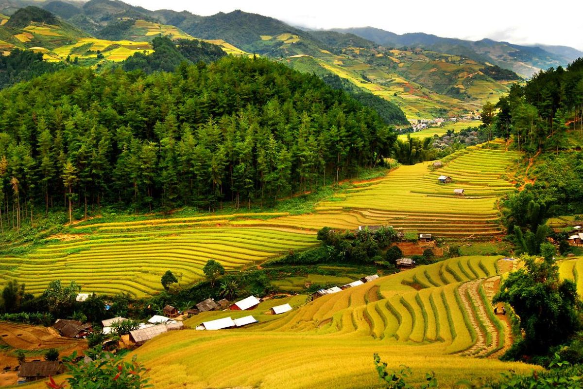 du lịch pù luông 3 ngày 2 đêm - Hình 4