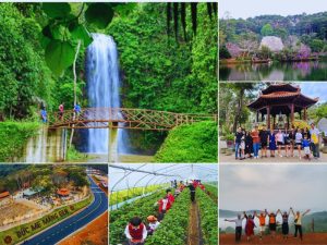 du lịch quảng ngãi 2 ngày 1 đêm