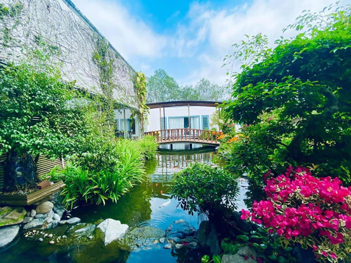 du lịch quê ta - Hình 4