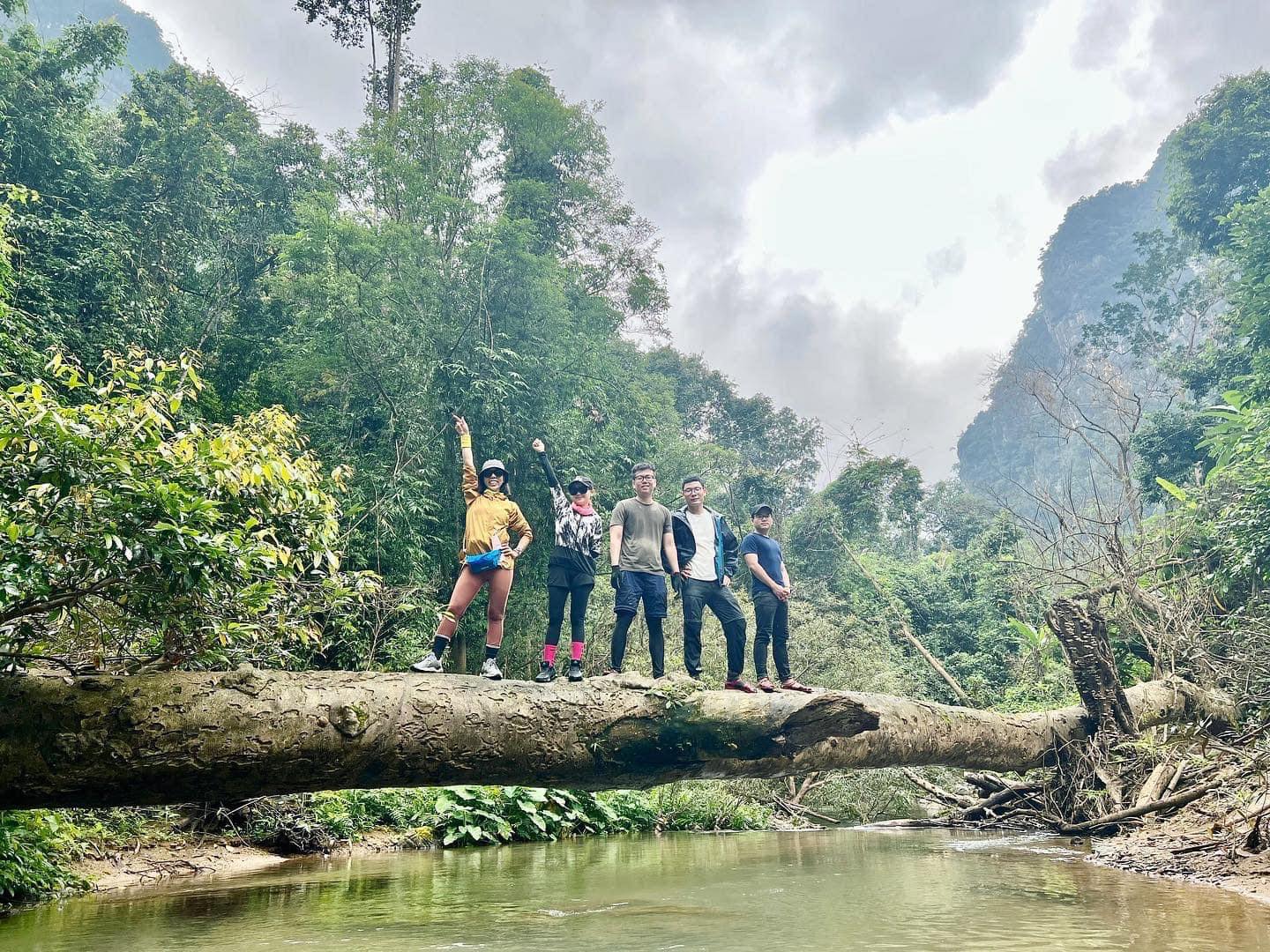 du lịch rừng - Hình 2
