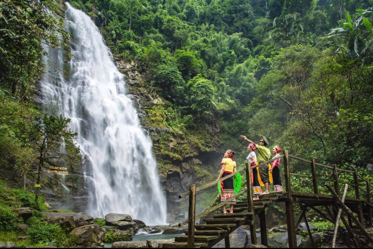 du lịch rừng - Hình 3