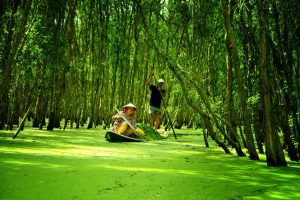 du lịch rừng