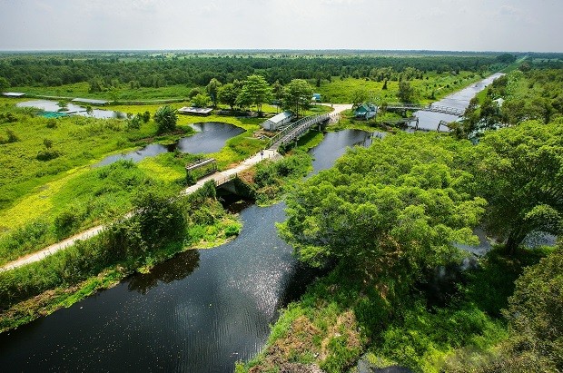 du lịch rừng u minh thượng - Hình 3