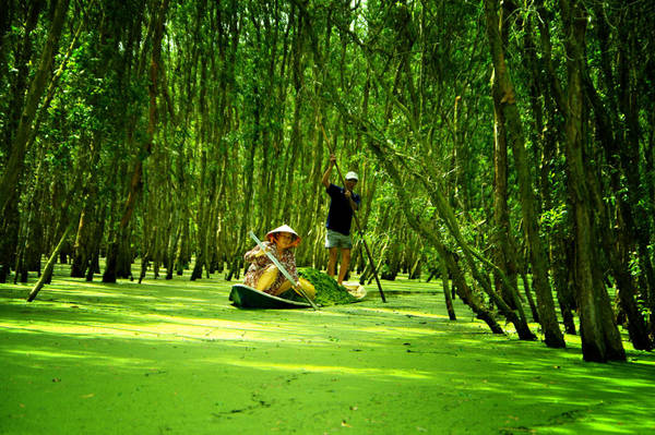 du lịch rừng - Hình 1