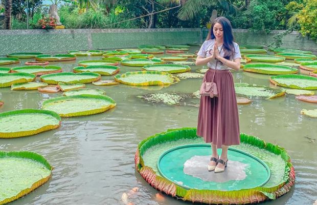 du lịch sa đéc 1 ngày - Hình 2
