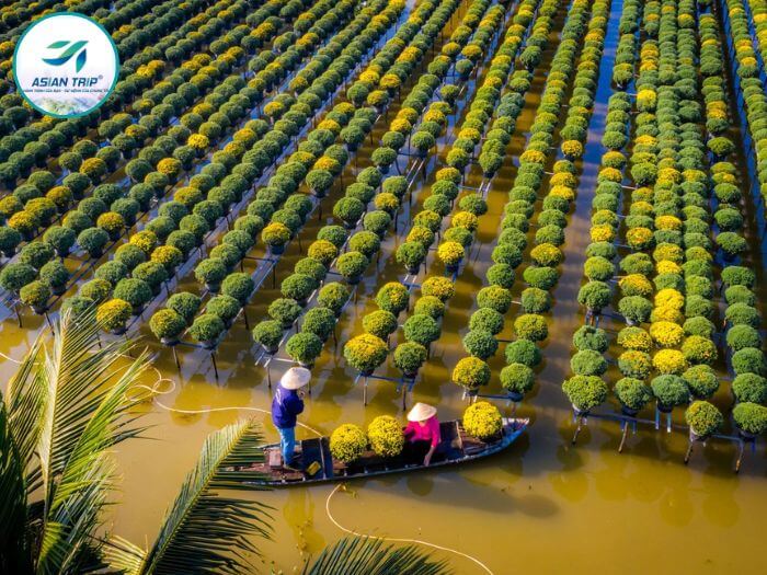 du lịch sa đéc 1 ngày - Hình 3