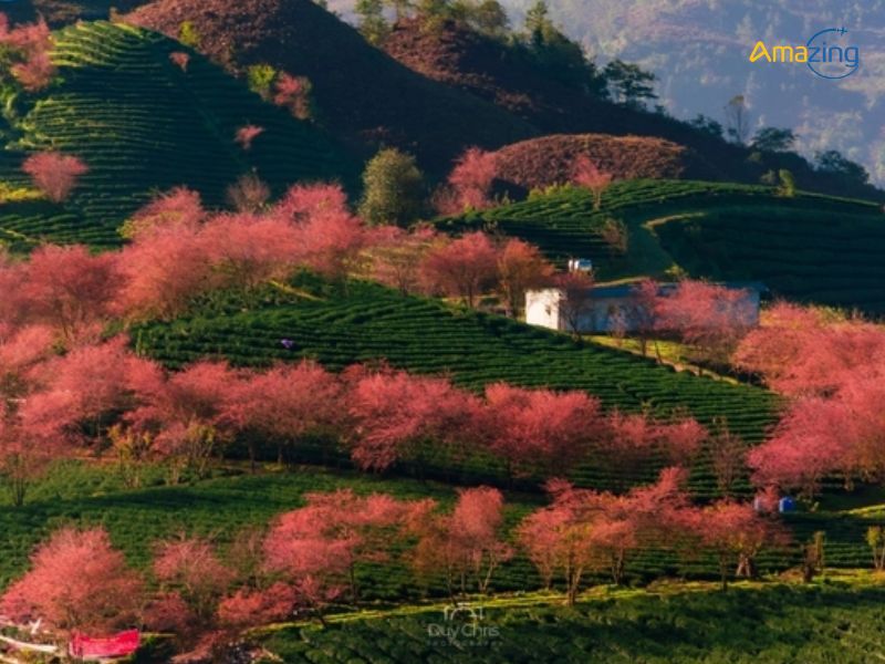 du lịch sapa tháng 1 - Hình 2
