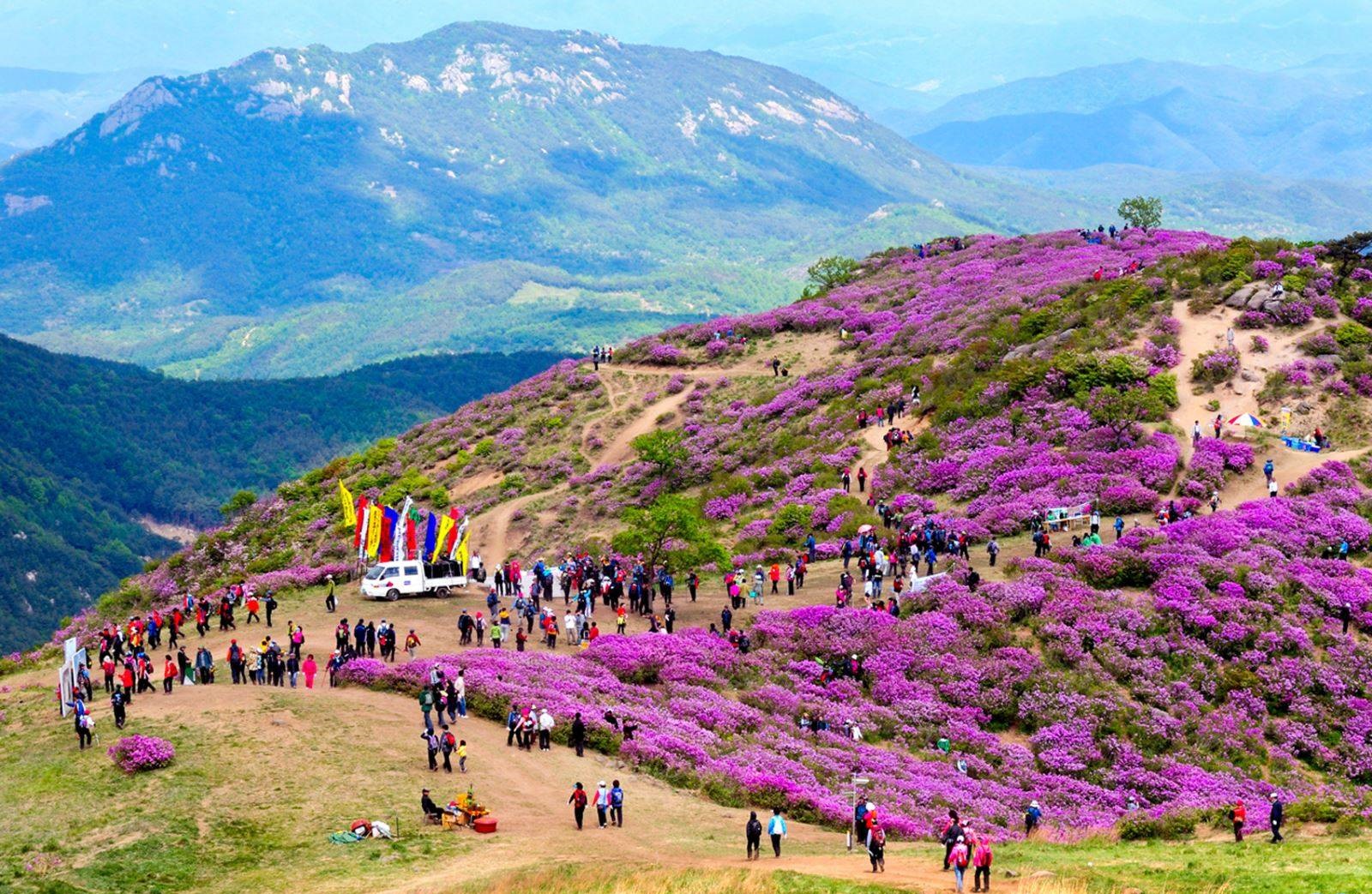 du lịch sapa tháng 3 - Hình 4