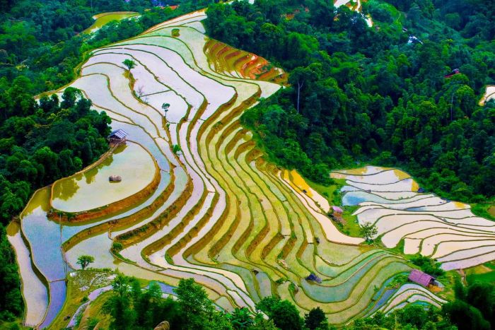 du lịch sapa tháng 4 - Hình 3