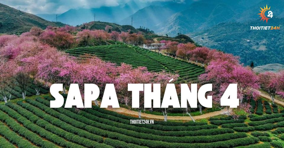 du lịch sapa tháng 4 - Hình 4