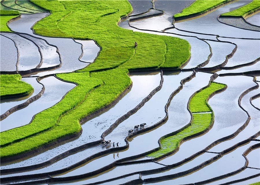 du lịch sapa tháng 5 - Hình 1