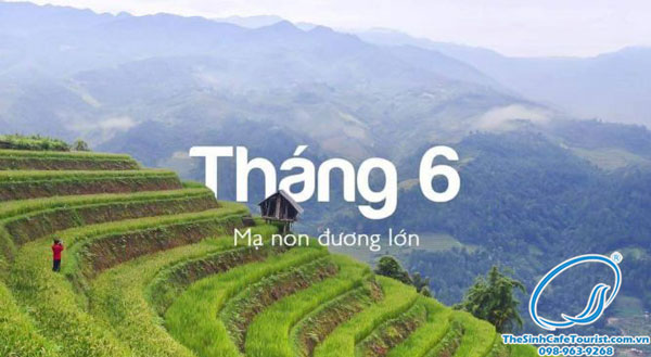 du lịch sapa tháng 6 - Hình 3