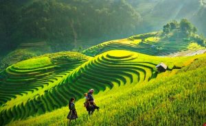 du lịch sapa tháng 7