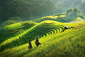 du lịch sapa tháng 8