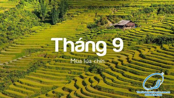 du lịch sapa tháng 9 - Hình 3