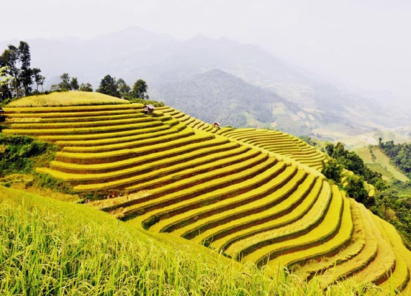 du lịch sapa tháng nào đẹp nhất - Hình 5