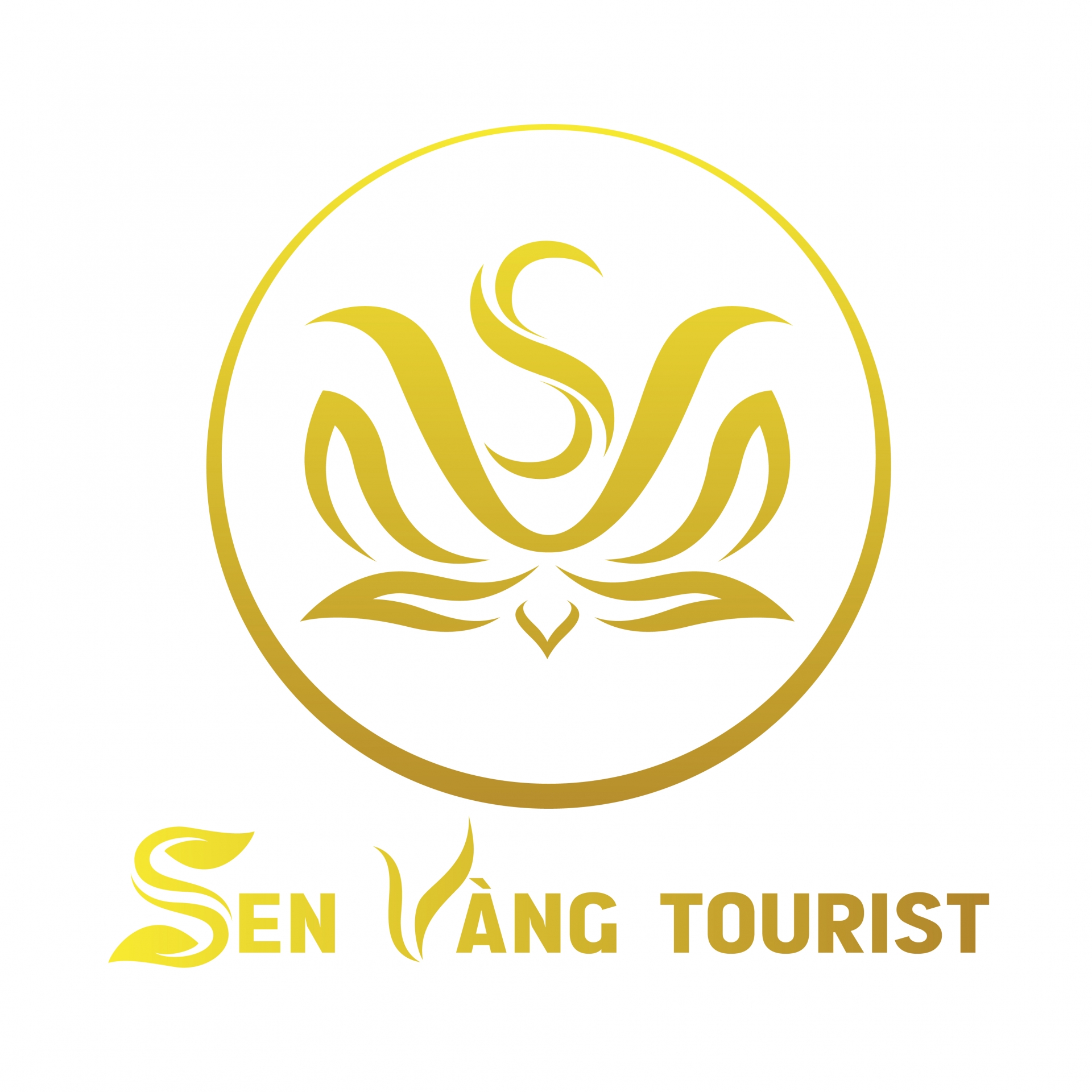 du lịch sen vàng - Hình 1