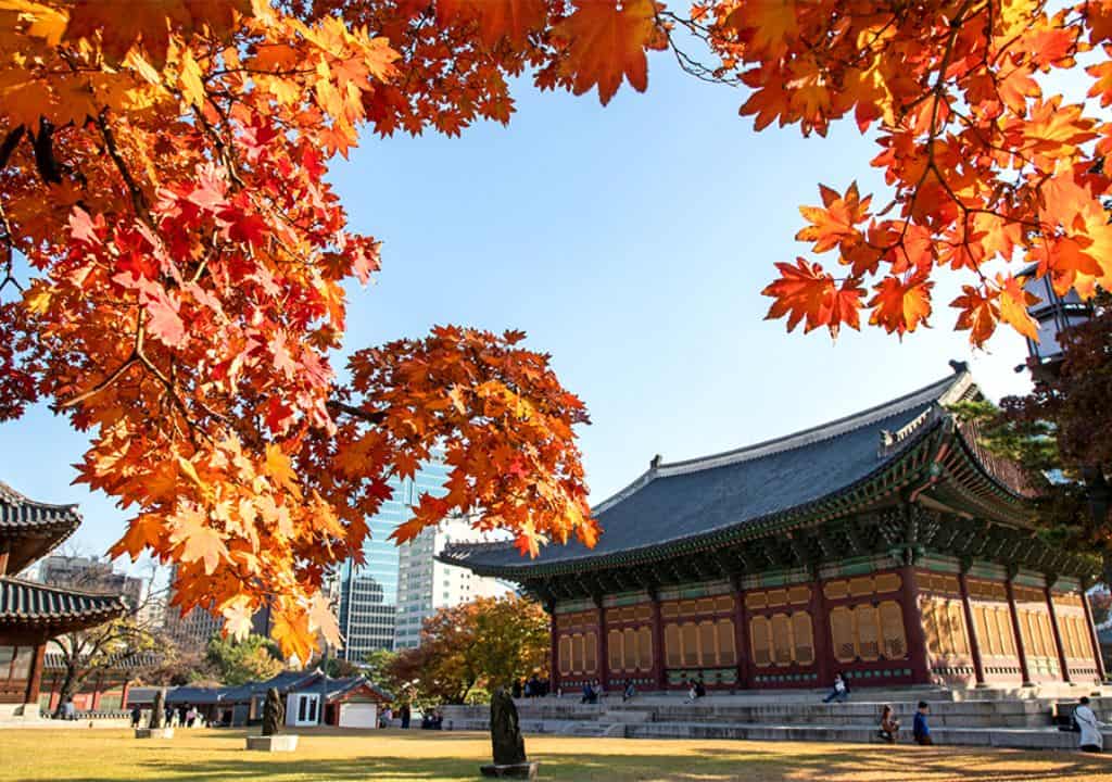 du lịch seoul tự túc - Hình 4