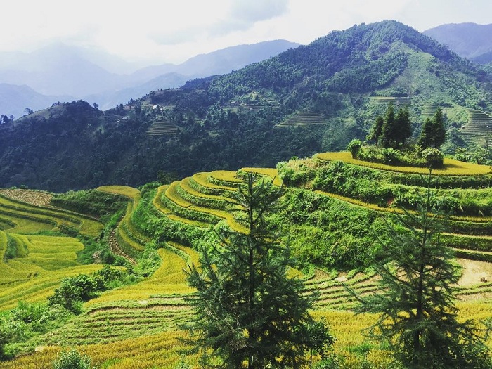 du lịch si ma cai - Hình 2