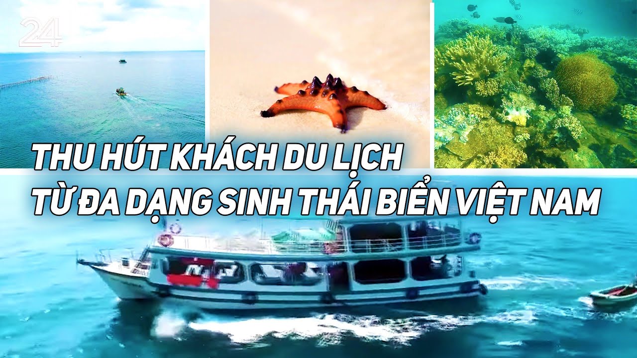 du lịch sinh thái biển - Hình 4