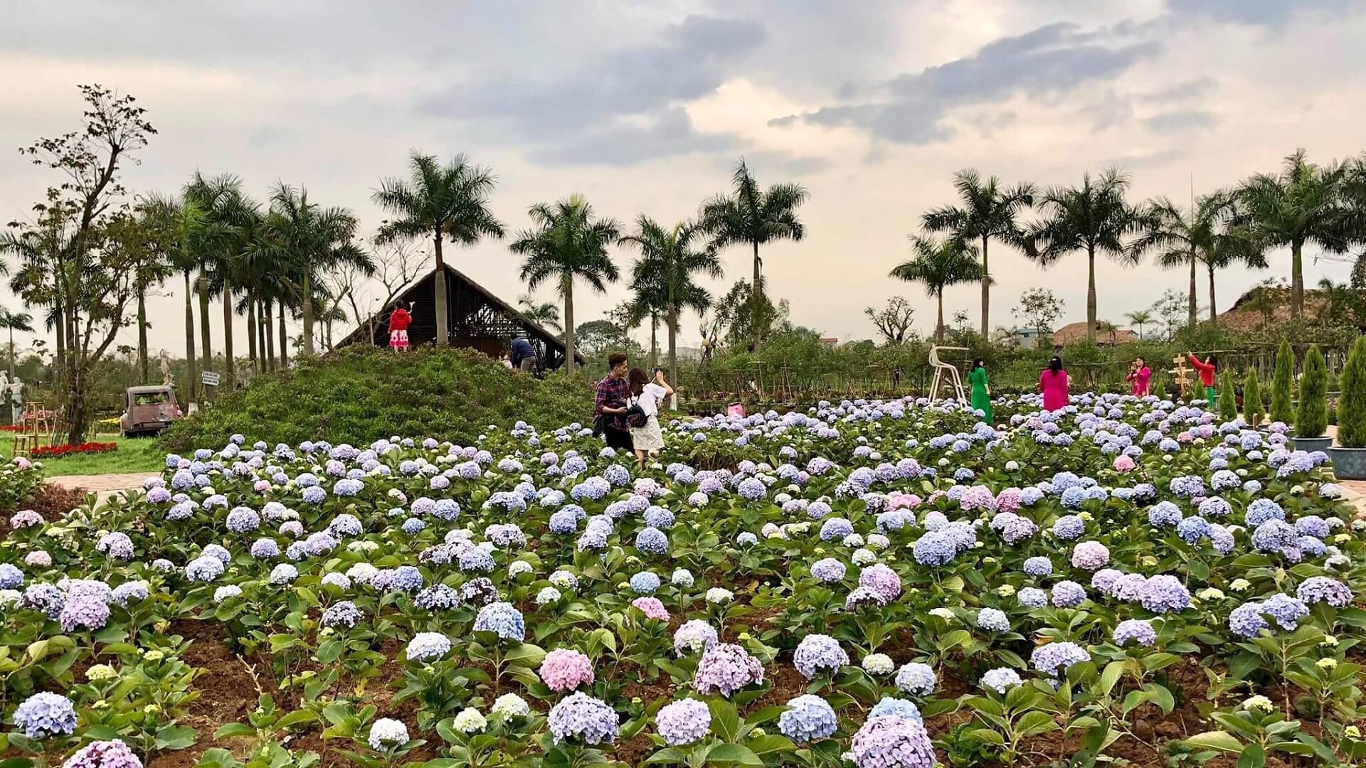 du lịch sinh thái gần hà nội - Hình 3