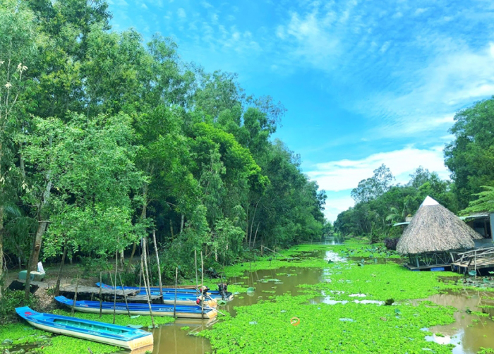 du lịch sinh thái hậu giang - Hình 1