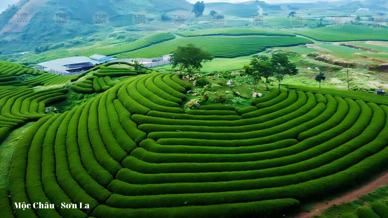 du lịch sơn la mộc châu - Hình 5