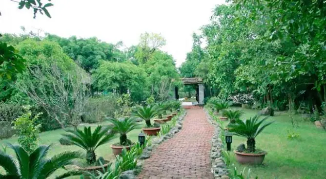 du lịch sơn tây 1 ngày - Hình 5