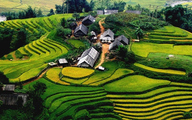 du lịch tả van - Hình 2