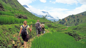 du lịch tái tạo