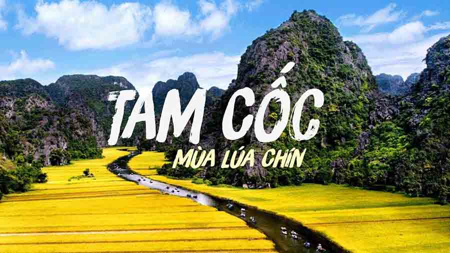 du lịch tam cốc bích động 1 ngày - Hình 5