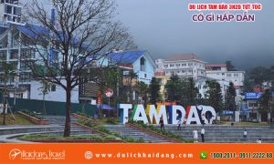 du lịch tam đảo 3 ngày 2 đêm tự túc