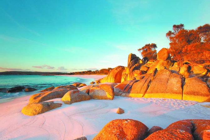 du lịch tasmania - Hình 4