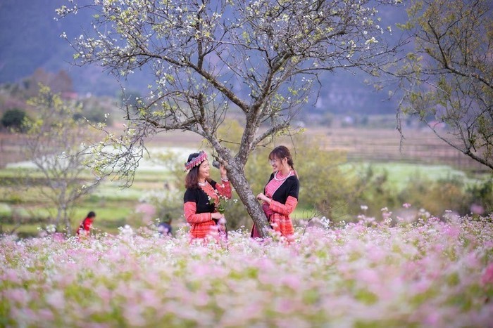 du lịch tây bắc thang nào đẹp nhất - Hình 4