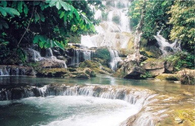 du lịch thác mơ - Hình 5