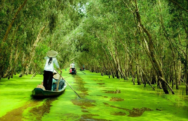 du lịch tiền giang - bến tre - Hình 4