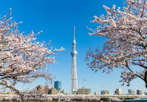 du lịch tokyo nhật bản